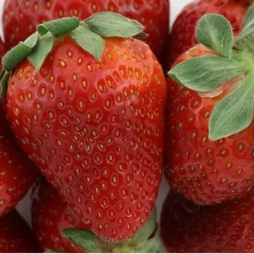 Клубника ФЛАМИНИЯ  Клубника ФЛАМИНИЯ в Курске