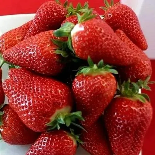 Клубника БРИЛЛА  Клубника БРИЛЛА в Курске